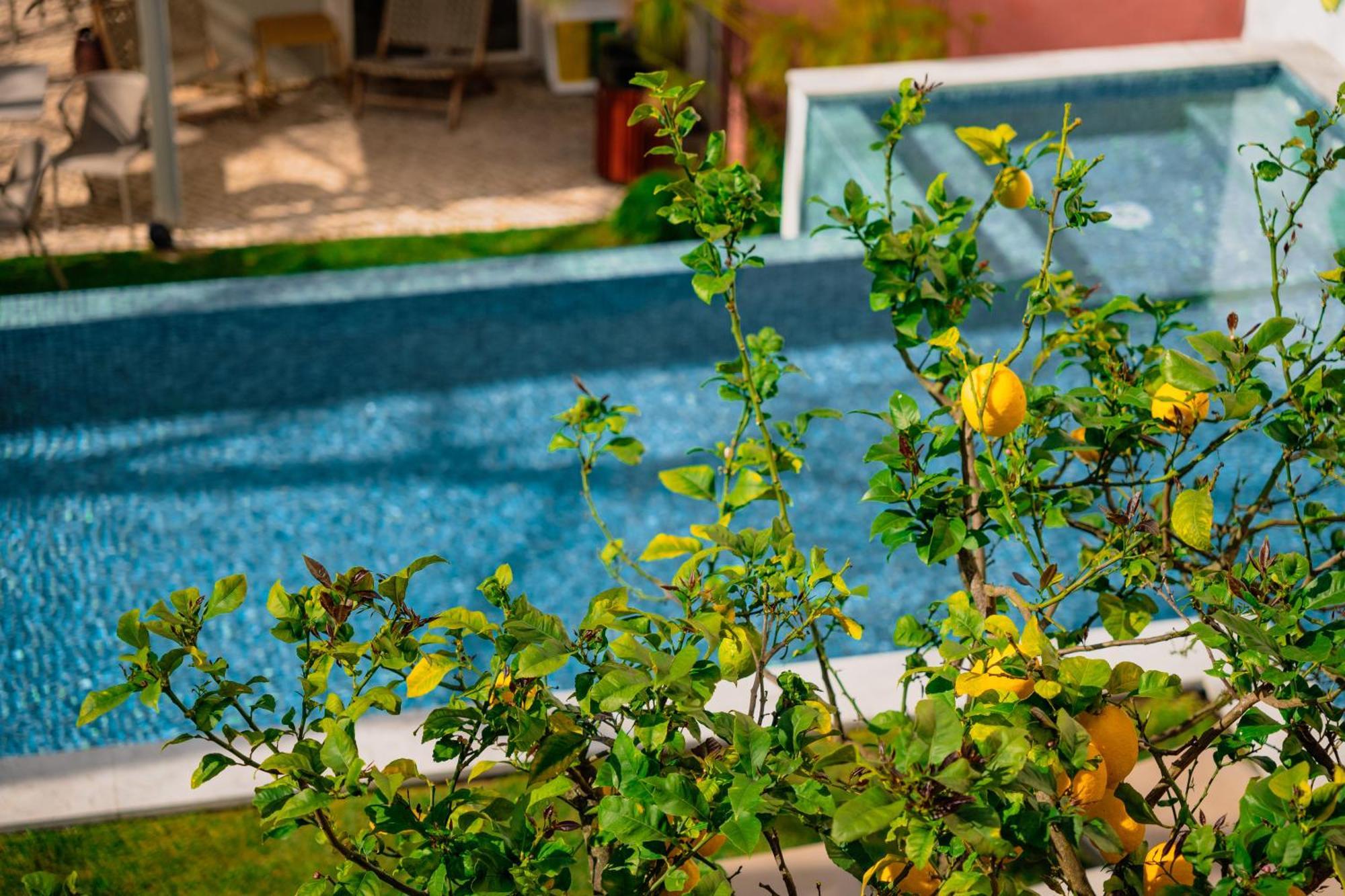 Hotel Jardim Da Lapa By Shiadu Lisboa Exteriér fotografie
